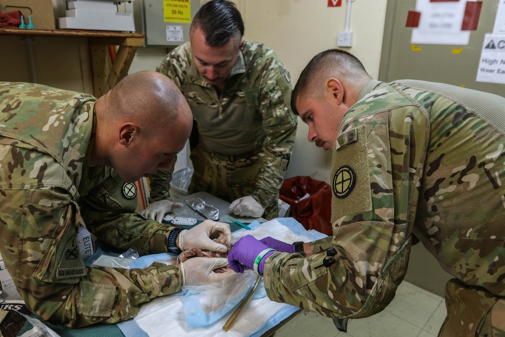 Minnesota Army National Guardsmen conduct chest tube training