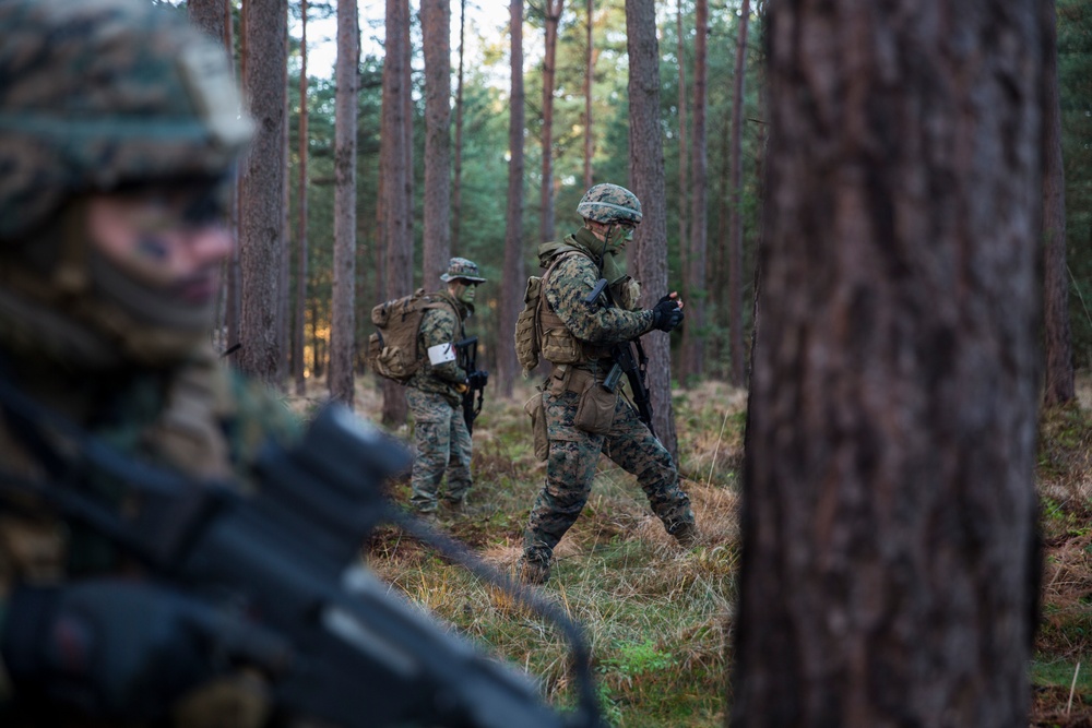 DVIDS - Images - Fallschirmjäger Regiment-31 [Image 1 of 31]