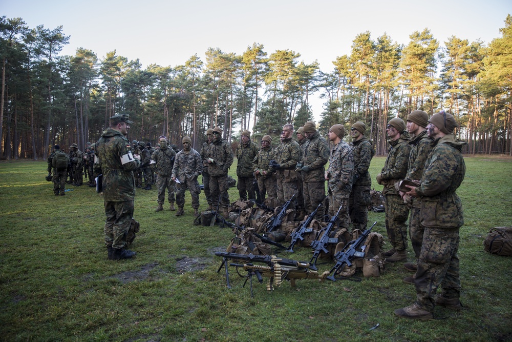 Fallschirmjäger Regiment-31