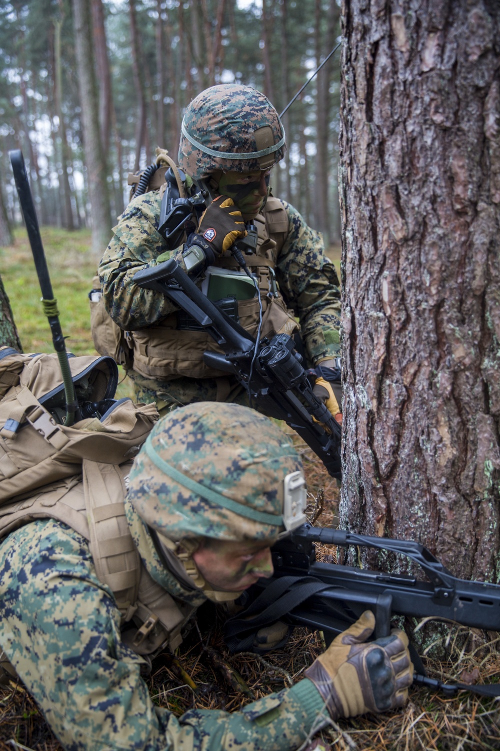 Fallschirmjäger Regiment-31