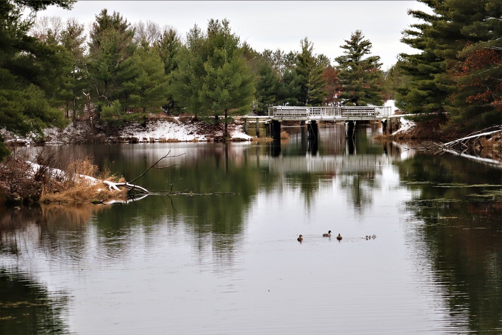 Ducks at Fort McCoy's Suukjak Sep Lake: December 2018