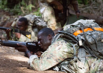 Tropic Lightning Week 18