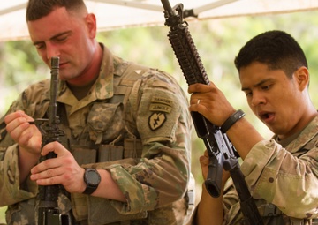 Tropic Lightning Week 18