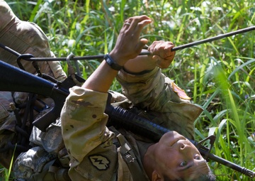 Tropic Lightning Week 18