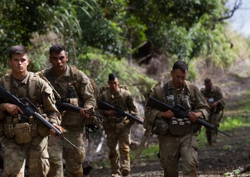 Tropic Lightning Week 18