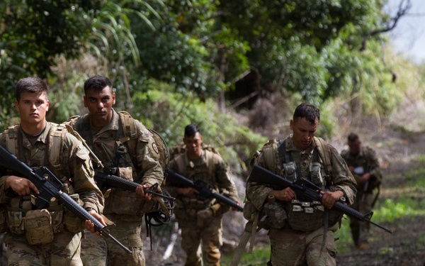 Tropic Lightning Week 18