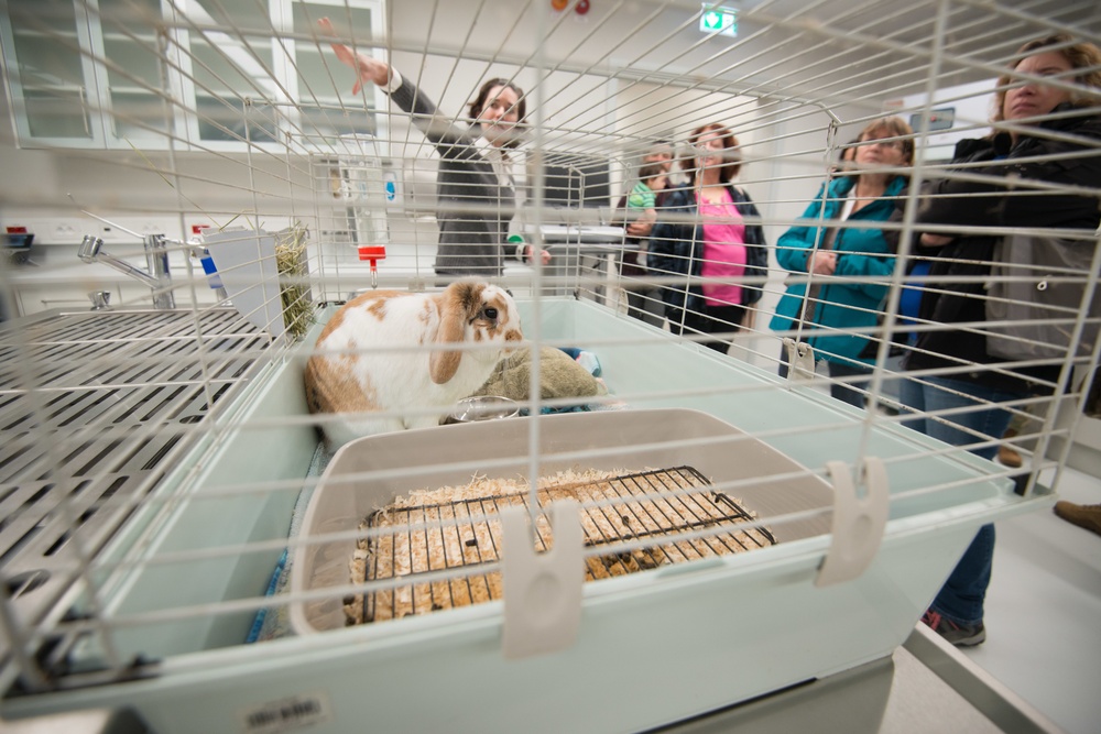 Chièvres Veterinary Treatment Facility Grand Opening