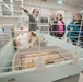 Chièvres Veterinary Treatment Facility Grand Opening