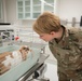 Chièvres Veterinary Treatment Facility Grand Opening