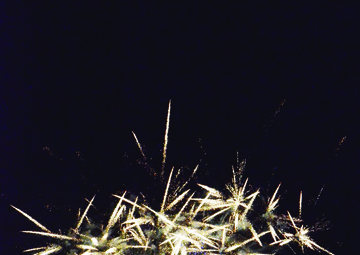 Fourth of July celebration