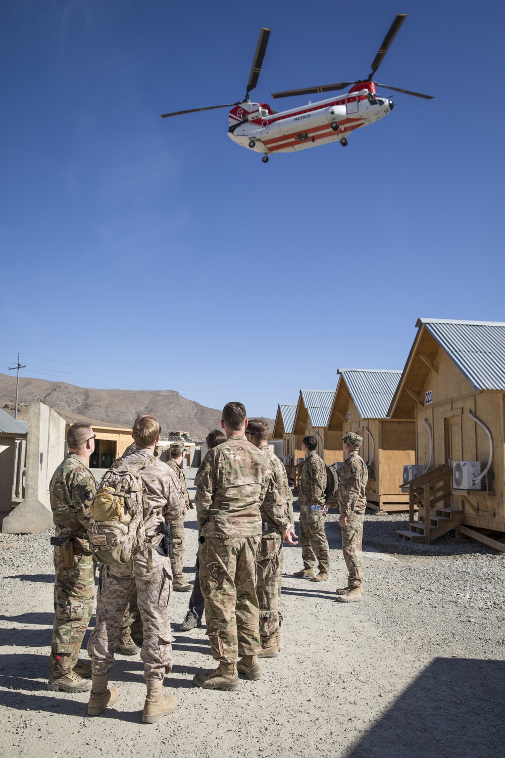 Scorpion: Bird in the sky