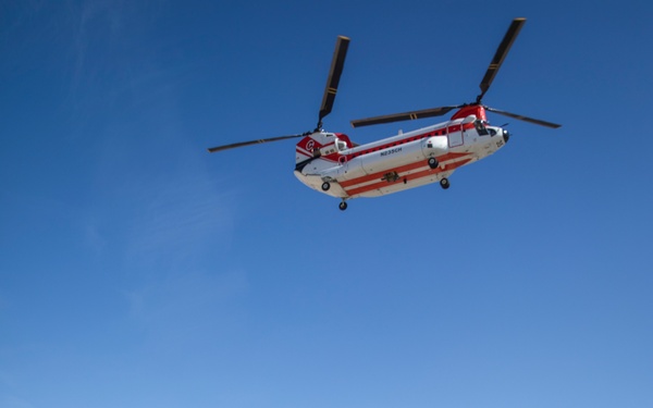 Scorpion: Bird in the sky