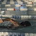 Sailors and Airmen plunge into swim qualification test