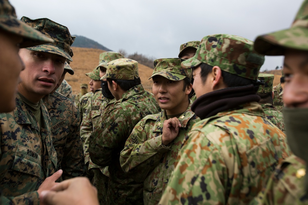 Forest Light 19.1 Opening Ceremony