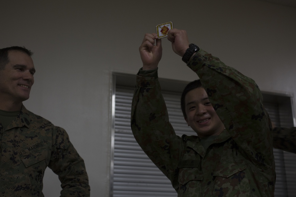 Forest Light 19.1 Warriors Night