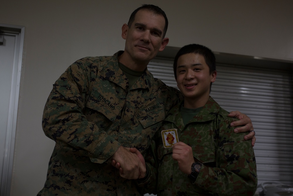 Forest Light 19.1 Warriors Night