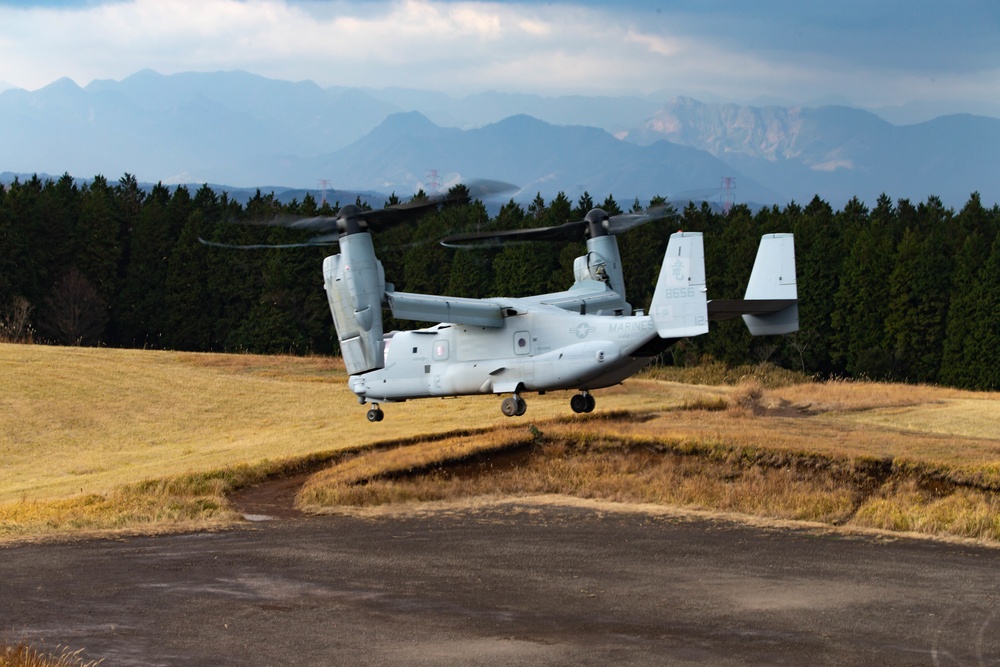 Aerial insert during Forest Light 19.1