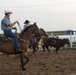 Cattle Sorting