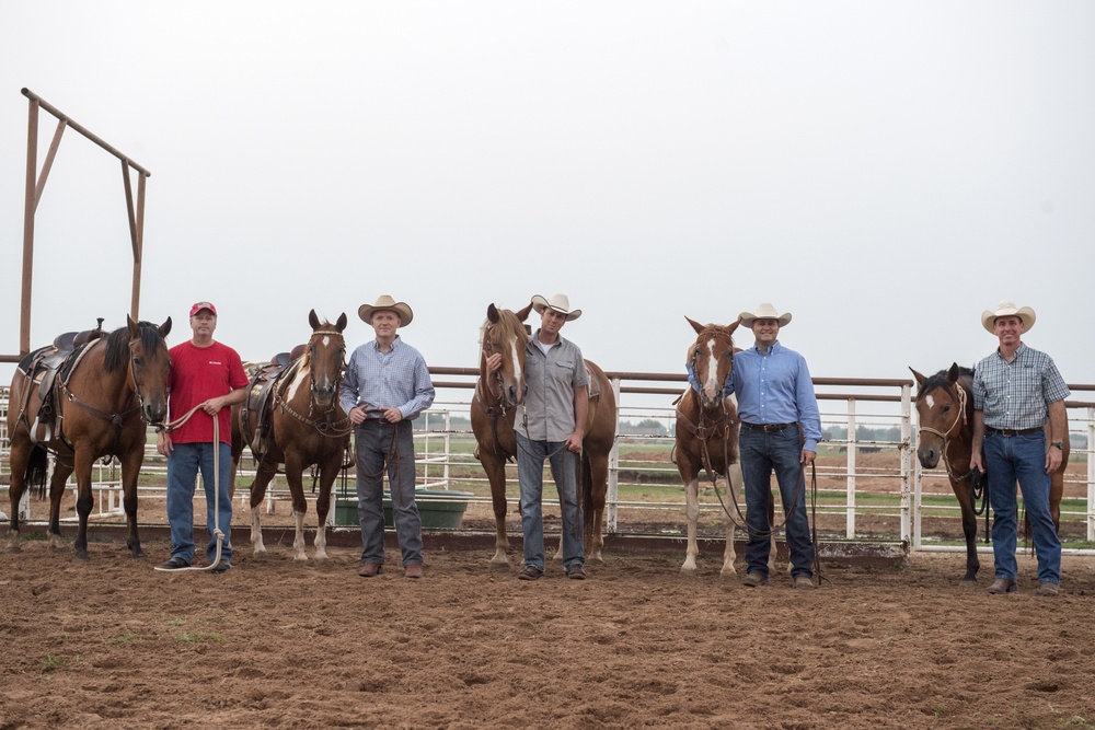 Cattle Sorting