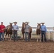 Cattle Sorting