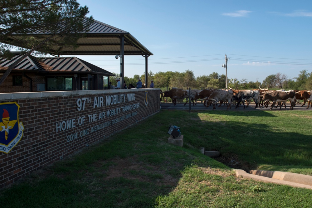 Cattle Drive at Altus AFB