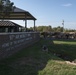 Cattle Drive at Altus AFB