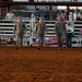 Military Appreciation Night at the Gread Plains Stampede Rodeo