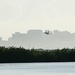 A military jet aircraft is captured in low-level flight against a hazy urban skyline backdrop. The scene is photographed from across a body of water, with a dense treeline of what appears to be mangroves in the middle ground. The overall image has a muted, atmospheric quality due to haze or humidity.