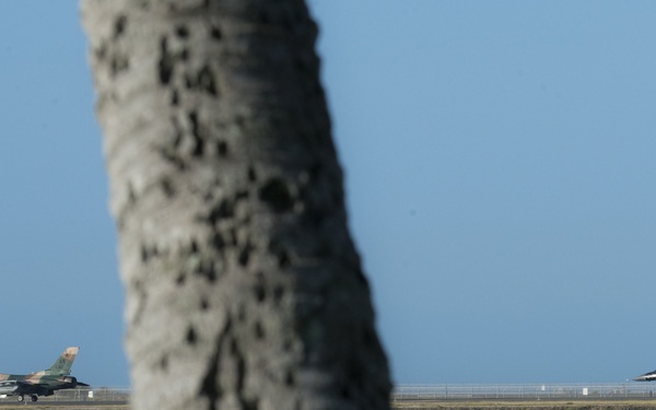 A close-up of a palm tree trunk with flower leis attached to it stands in the foreground, with a calm body of water in the middle ground. In the background, two military fighter jets — one in camouflage green/brown and one in gray — are visible on what appears to be an airfield runway. The composition creates a contrast between the floral memorial element and the military aircraft.