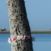 A close-up of a palm tree trunk with flower leis attached to it stands in the foreground, with a calm body of water in the middle ground. In the background, two military fighter jets — one in camouflage green/brown and one in gray — are visible on what appears to be an airfield runway. The composition creates a contrast between the floral memorial element and the military aircraft.