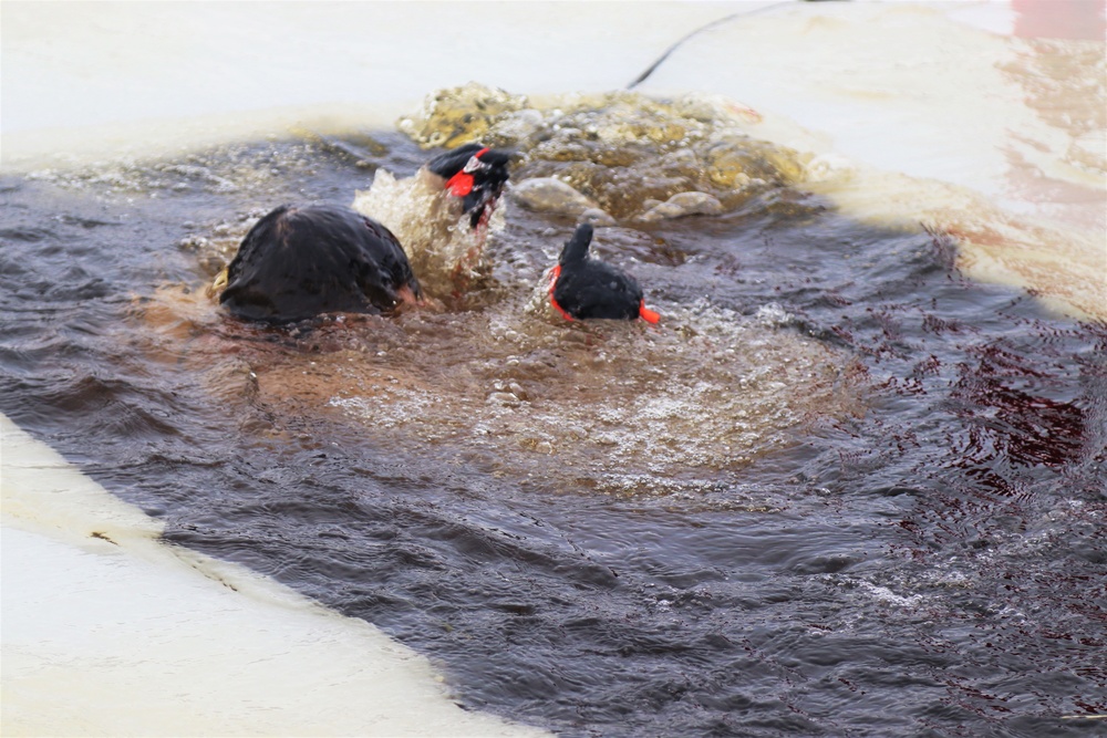 Students participate in cold-water immersion training for CWOC Class 19-01 at Fort McCoy