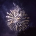 Freedom Fest brings community together