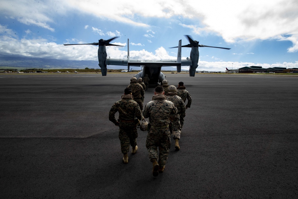 Marine Toys for Tots Delivery: Maui
