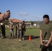 No Pain, No Gain