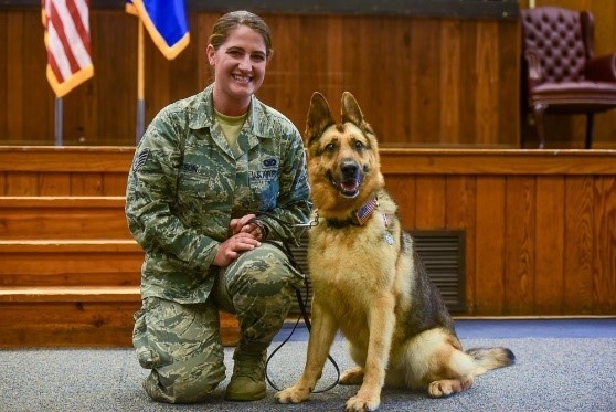 Military working dogs retire from the service