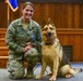 Military working dogs retire from the service