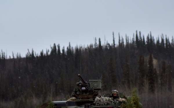 Arctic Anvil 19-01