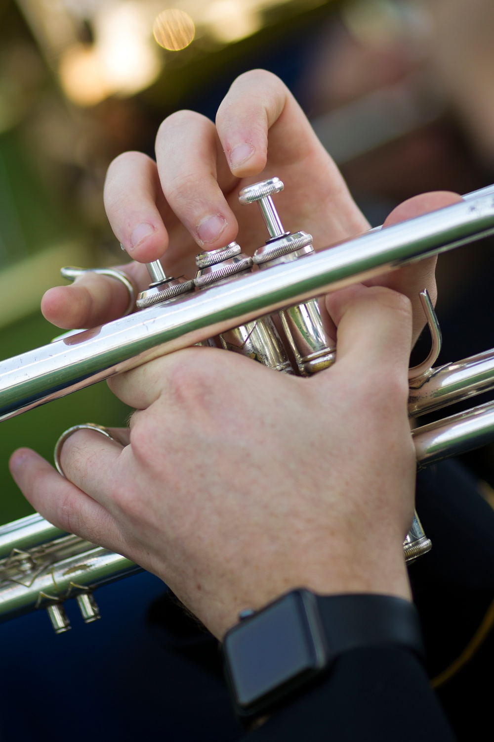 40th Infantry Division Band performs at Veterans Day Celebration