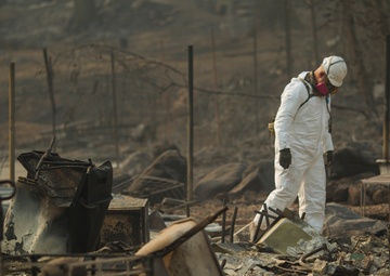649th Engineer Company conducts Camp Fire debris clearing