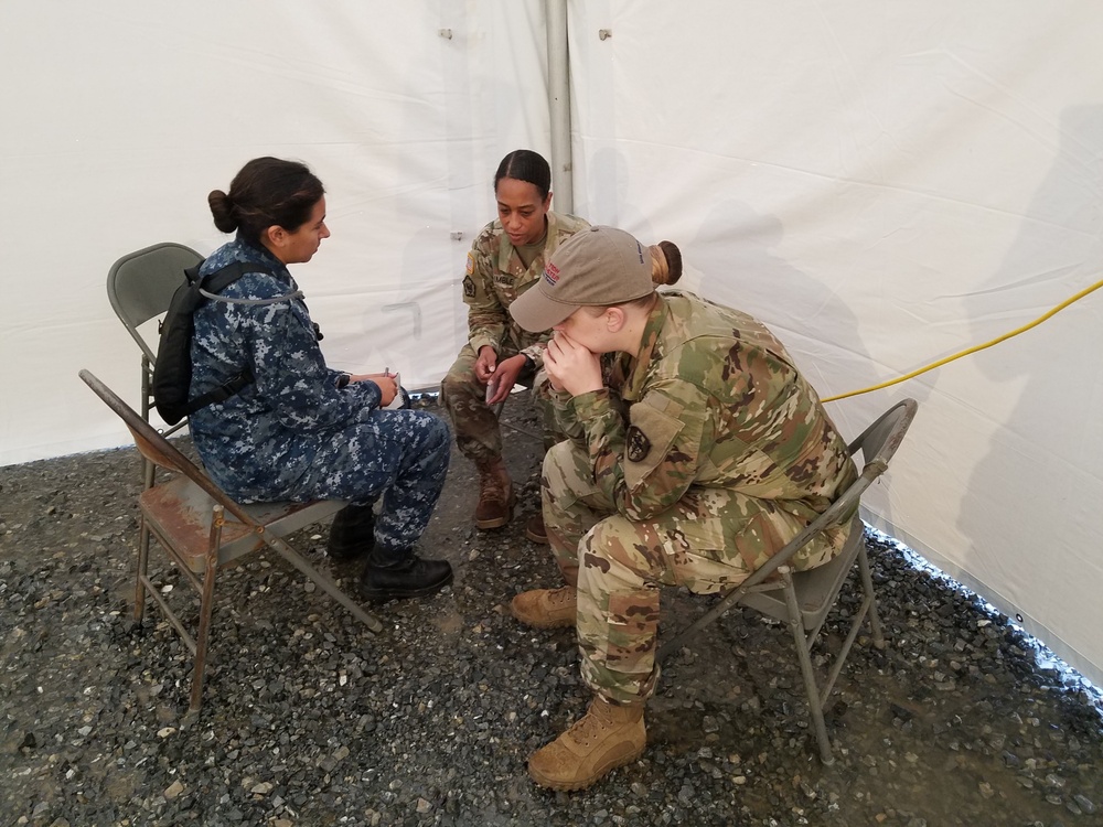 'Bushmaster' Prepares Mental Health Providers, Strengthens Interdisciplinary Collaborations