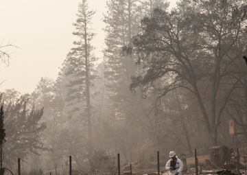 649th Engineer Company conducts Camp Fire debris clearing