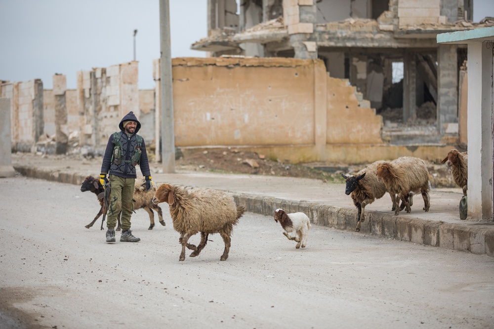 Coalition Forces Visit Children in Ayn Issa