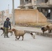 Coalition Forces Visit Children in Ayn Issa