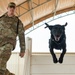 386th ESFS demonstrates K-9 capability at MWD Expo