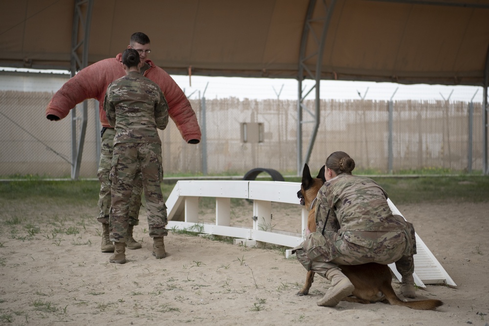386th ESFS demonstrates K-9 capability at MWD Expo