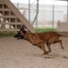 386th ESFS demonstrates K-9 capability at MWD Expo