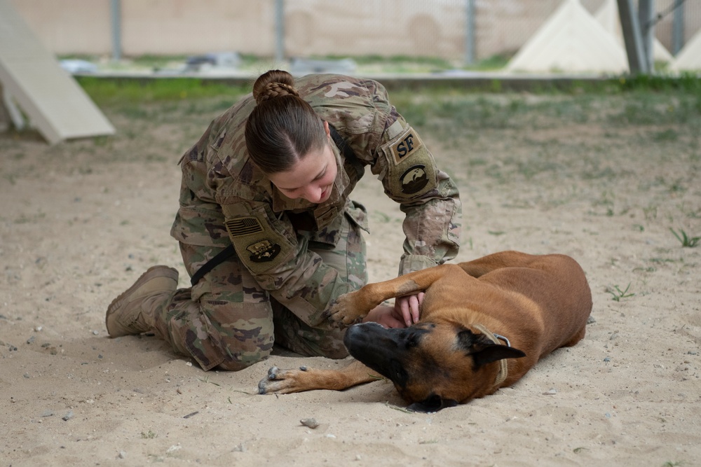 386th ESFS demonstrates K-9 capability at MWD Expo