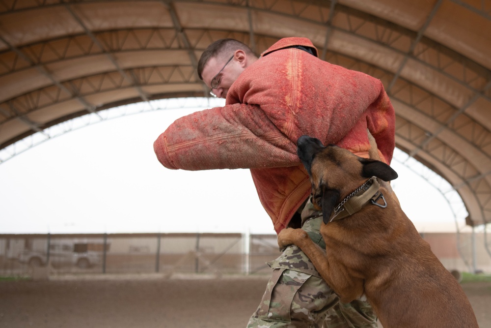 386th ESFS demonstrates K-9 capability at MWD Expo