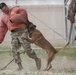 386th ESFS demonstrates K-9 capability at MWD Expo