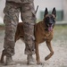 386th ESFS demonstrates K-9 capability at MWD Expo